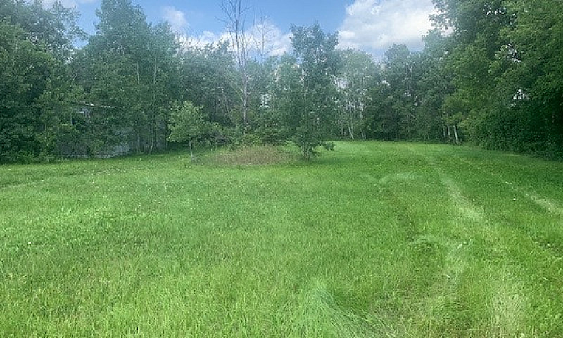 Super Property In Te...