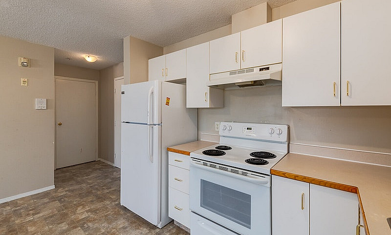 Modern Apartments Wi...