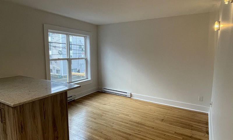Newly Renovated 1 Be...