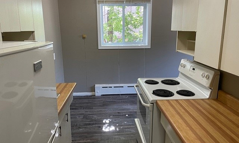 506 Balmoral - 1 Br ...