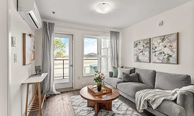 Easy Living | Main F...