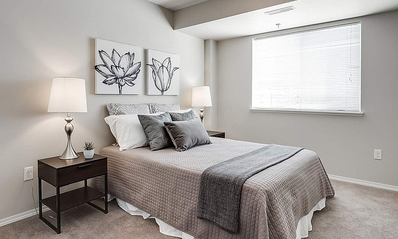 Pet-Friendly Three B...