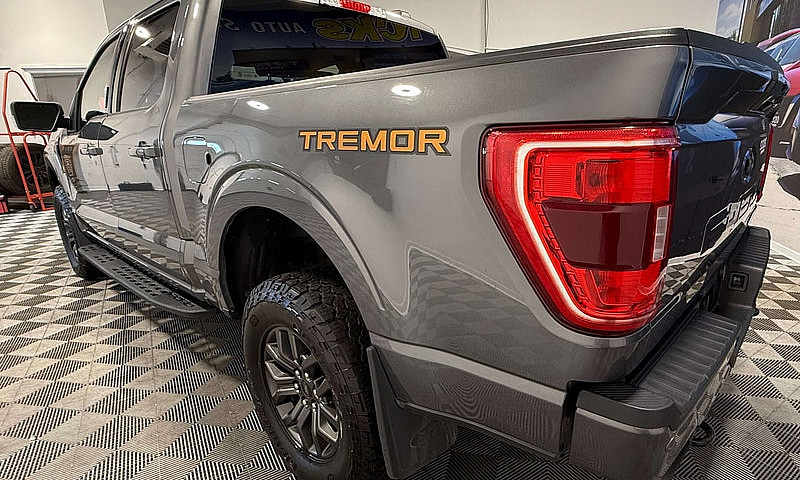 2023 Ford F-150 Trem...