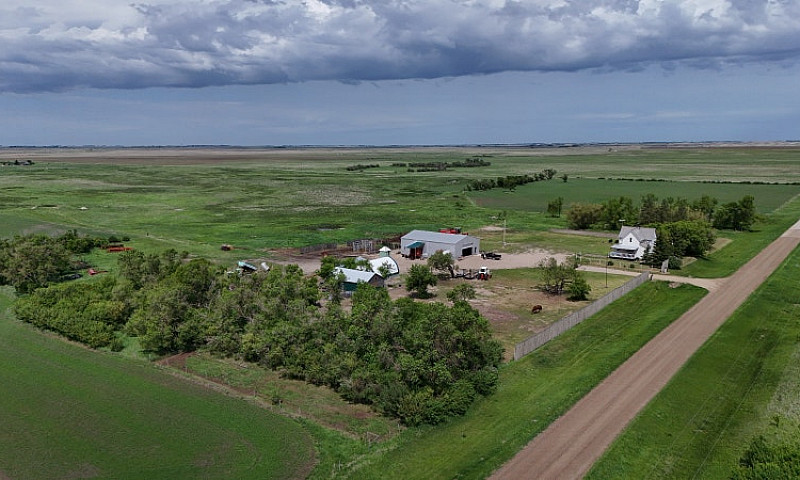 286 Acres & Yard Sit...