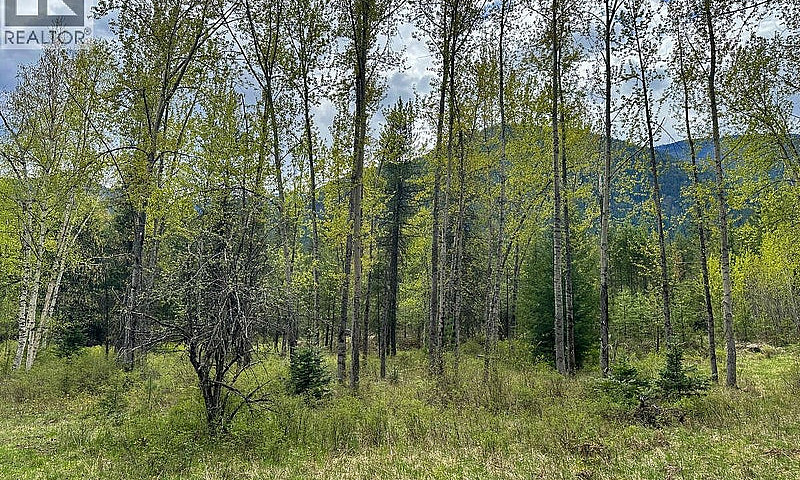 Highway 6 Lot# 4 Pas...