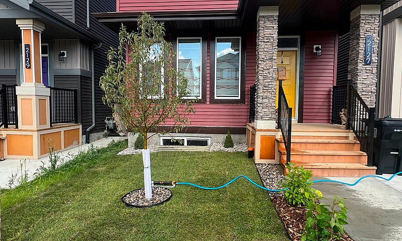 For Rent – Brand New...
