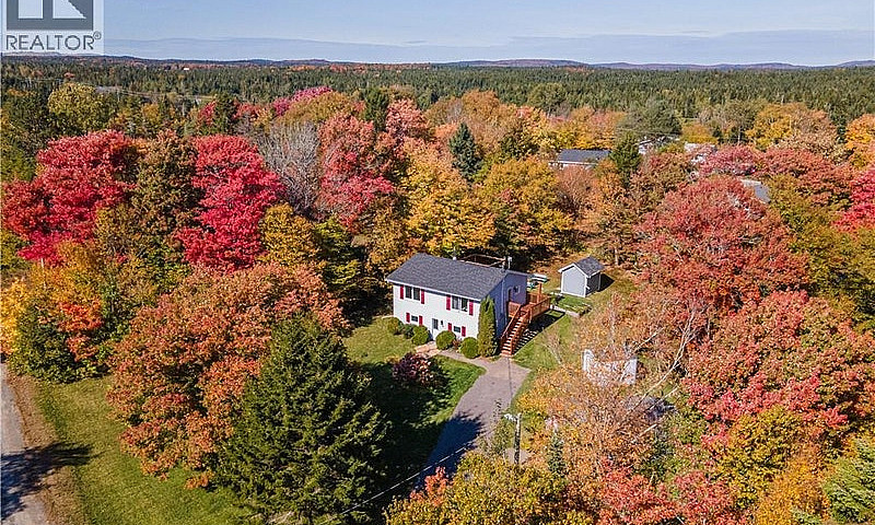 10 Birch Lane Willow...
