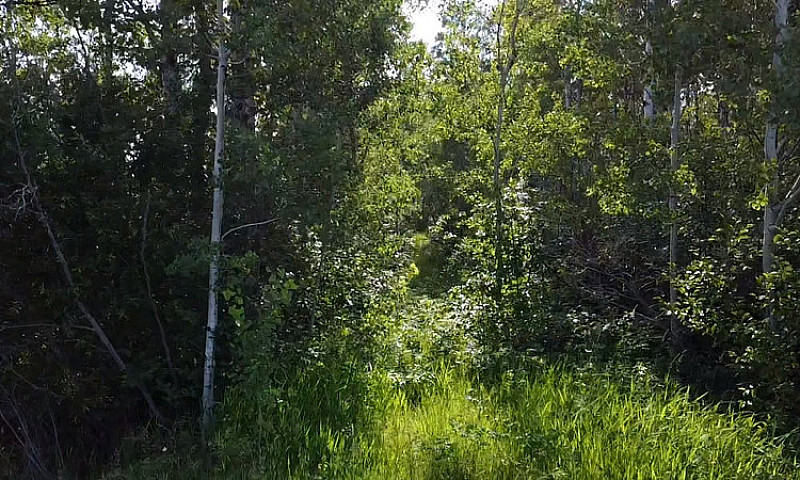 7.51 Acre Property I...