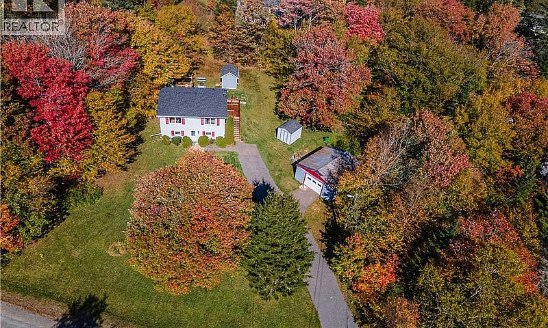 10 Birch Lane Willow...