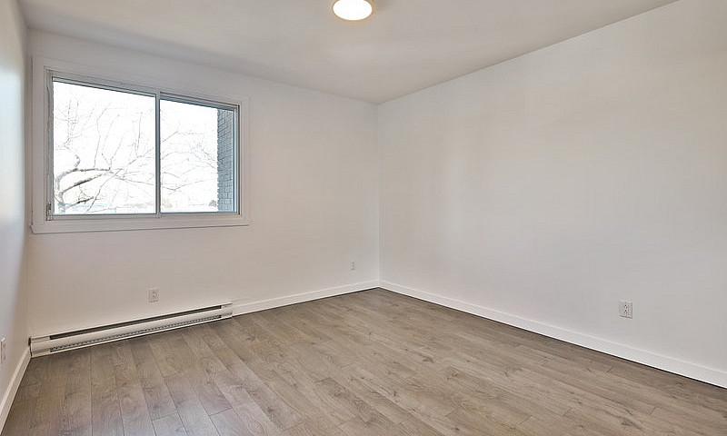Beau 4½ – Brodeur, L...