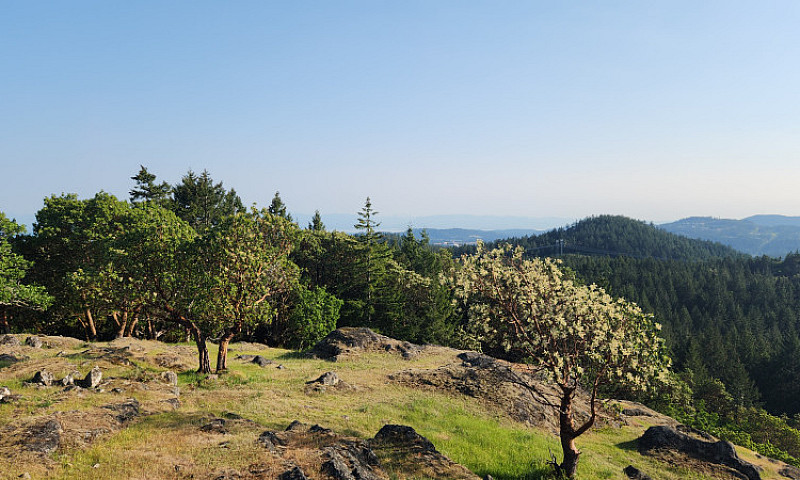 Elevated Acreage Wit...