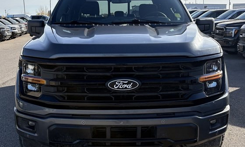 2025 Ford F-150 Xlt ...
