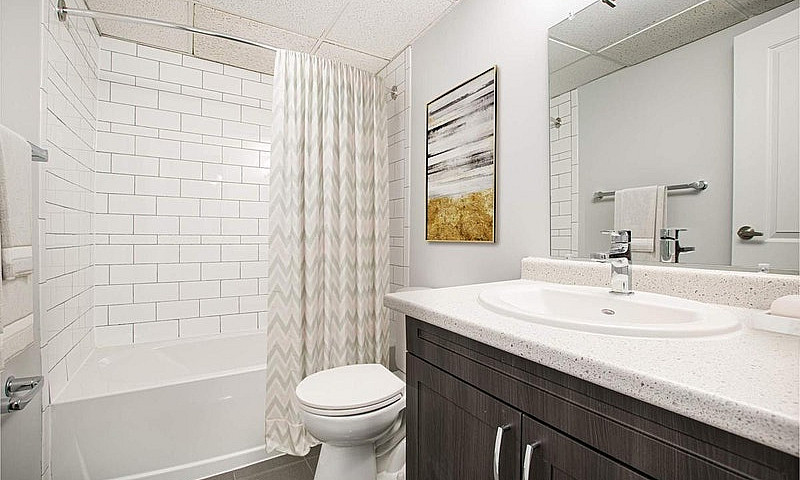 1 Bedroom Apartment ...