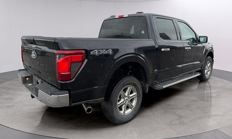 2025 Ford F-150 Xlt ...