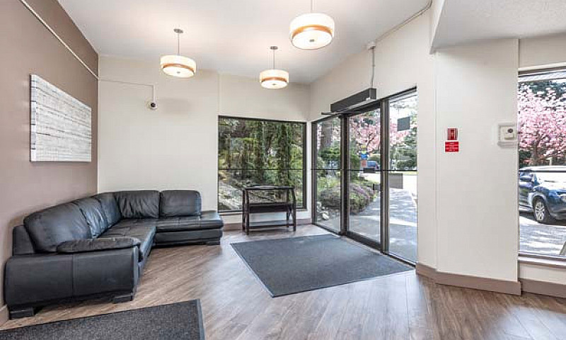 Freshly Renovated & ...
