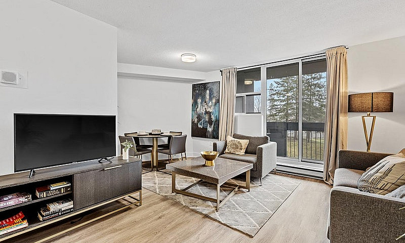 2 Bedroom Apartment ...