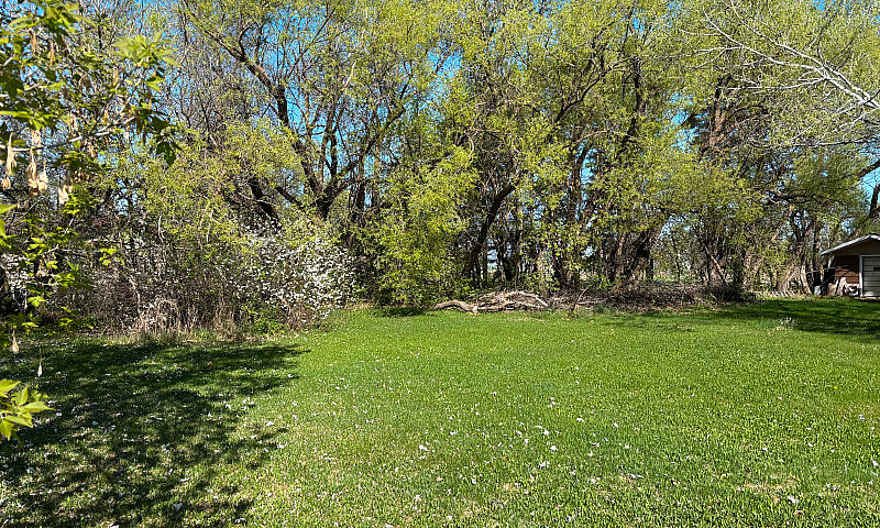 Double Wide Lot 