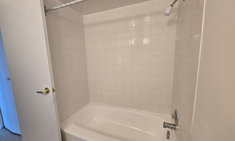 One Bedroom Apartmen...