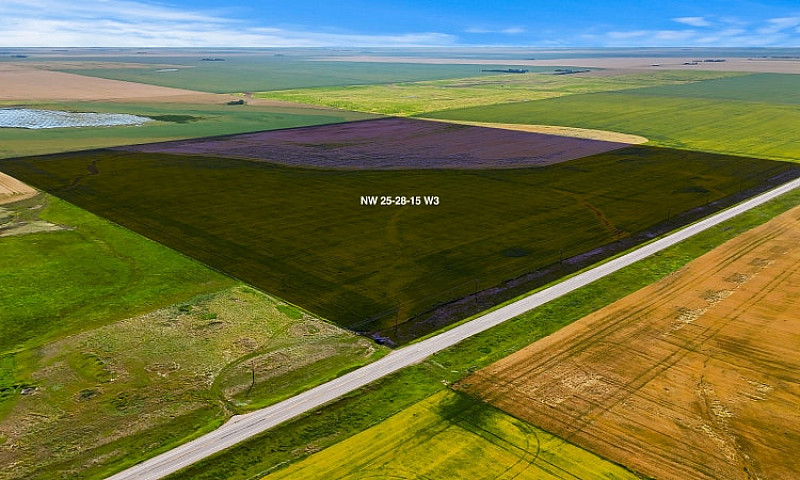 High Quality Farm La...