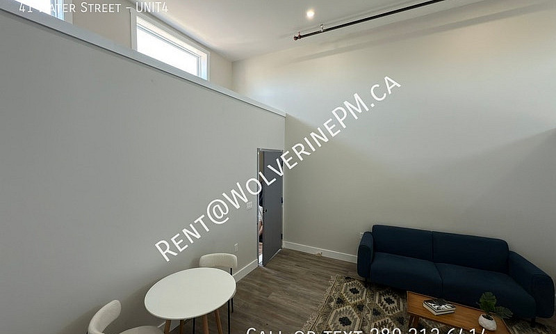 The Palace Lofts, Wh...