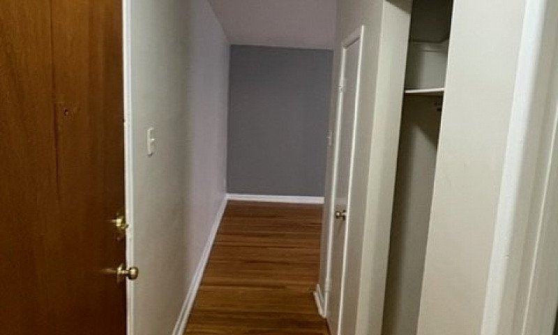 530 Young  - 1 Br Av...