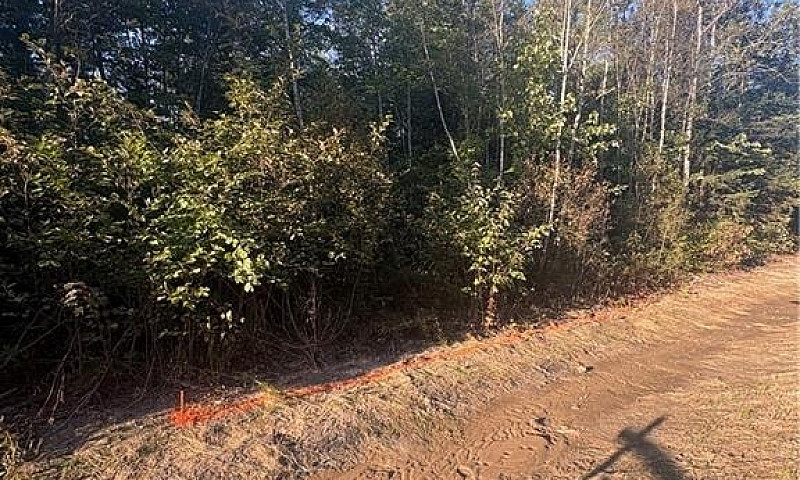 Lot Creek Road Berwi...