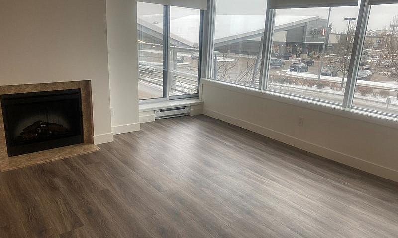 1 Bedroom Luxury Con...