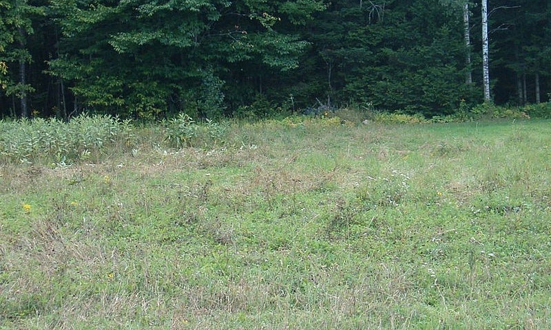 65 000$ - Terrain Ré...