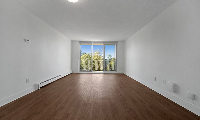 1 Bedroom Apartment ...