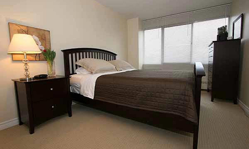 Best Price - 1 Bedro...