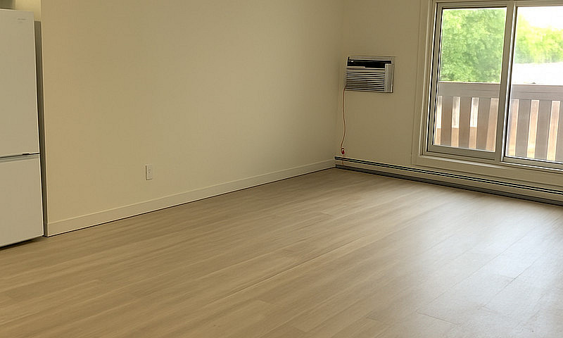 Renovated 1 & 2 Bedr...