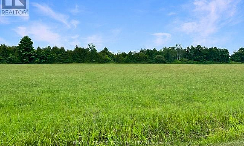 7205 Malakoff Road O...