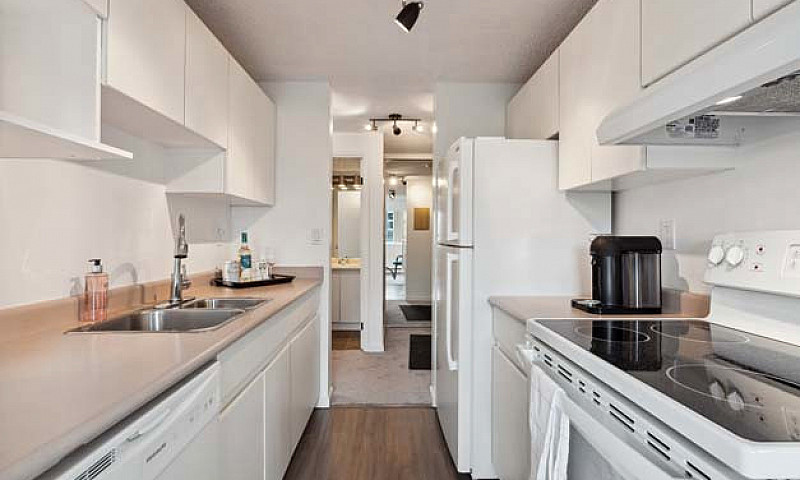 Immaculate Suite Wit...