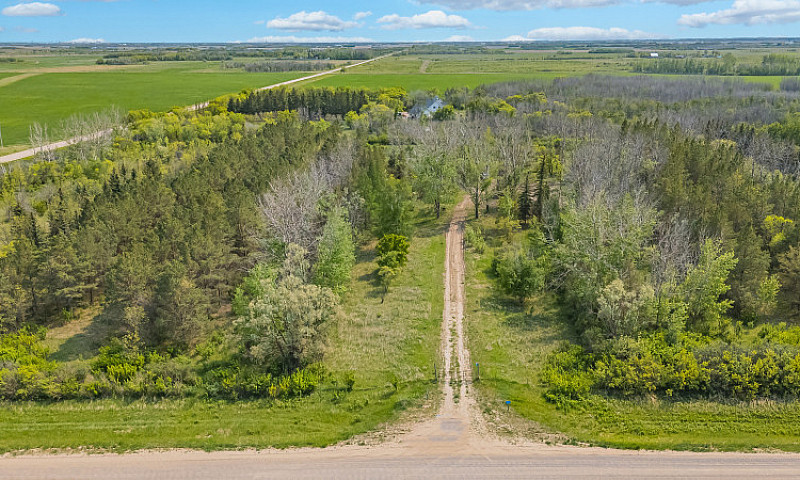 Serviced 10-Acre Tre...