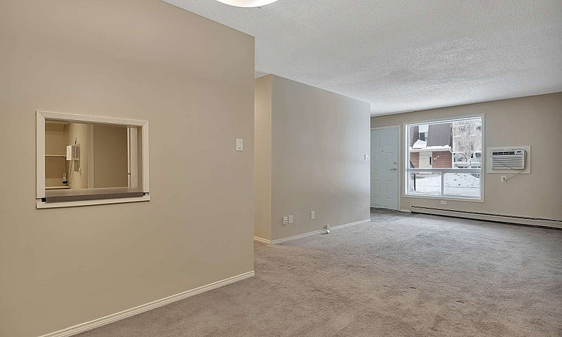 1 Bedroom - 41 Munro...