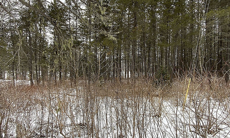 60 000$ - Terrain Ré...
