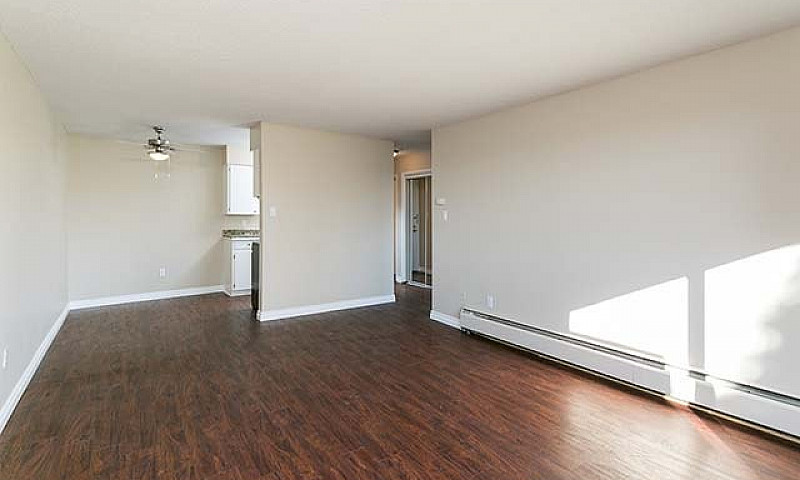 The Westport Apartme...