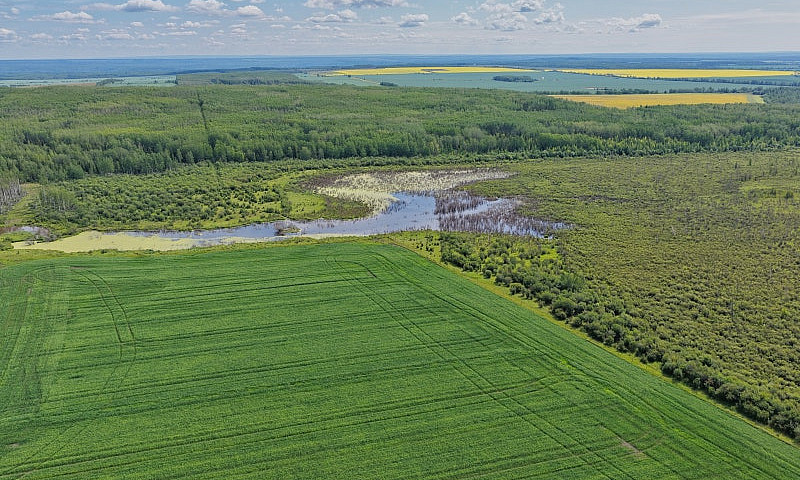 2,097 Acres | Rose P...