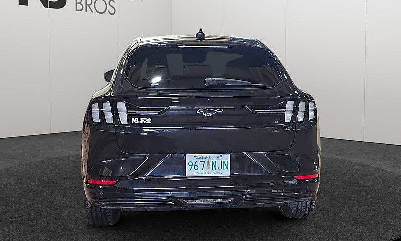 2022 Ford Mustang Ma...