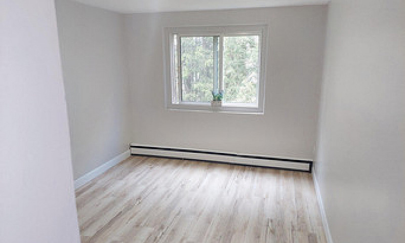 1 Bedroom Apartment ...