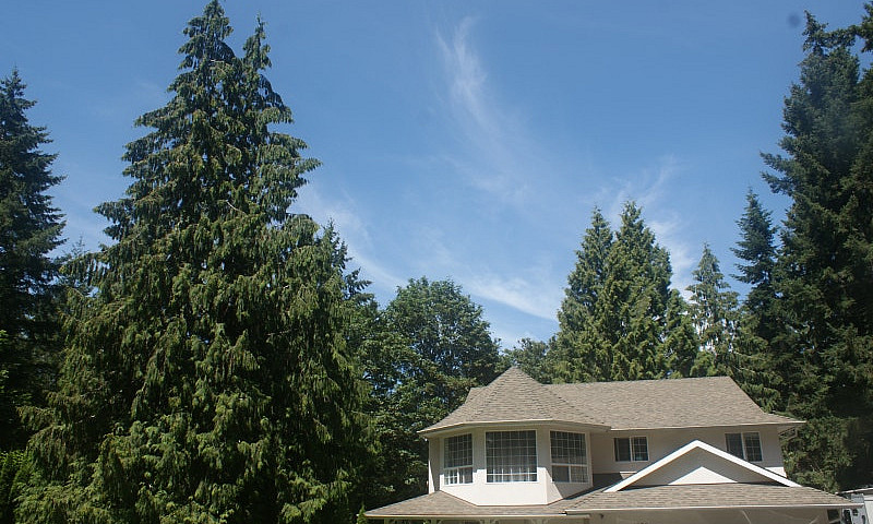 Acreage In Nanaimo/C...