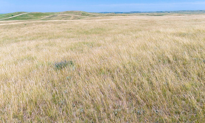 Mixed Use Farmland F...