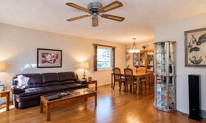 15 Shields Street Wi...