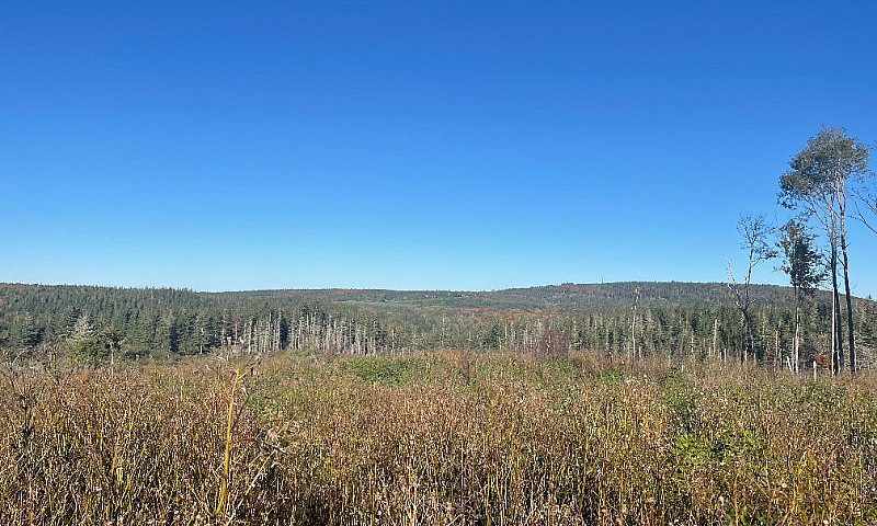 Mclure Rd. (Lot 3), ...