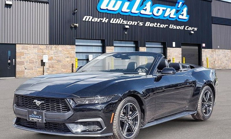 2025 Ford Mustang Co...