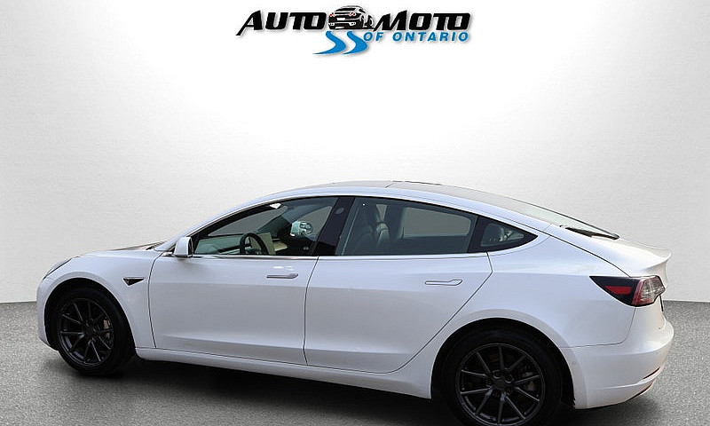 2019 Tesla Model 3...