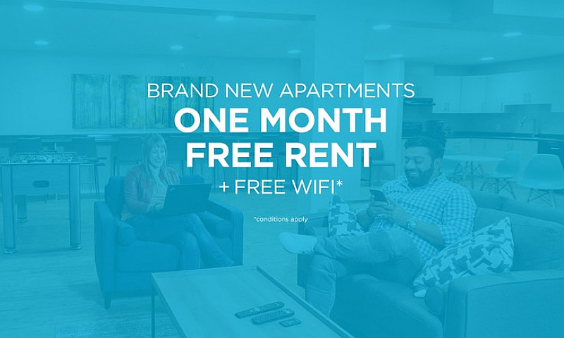 Pet-Friendly One Bed...