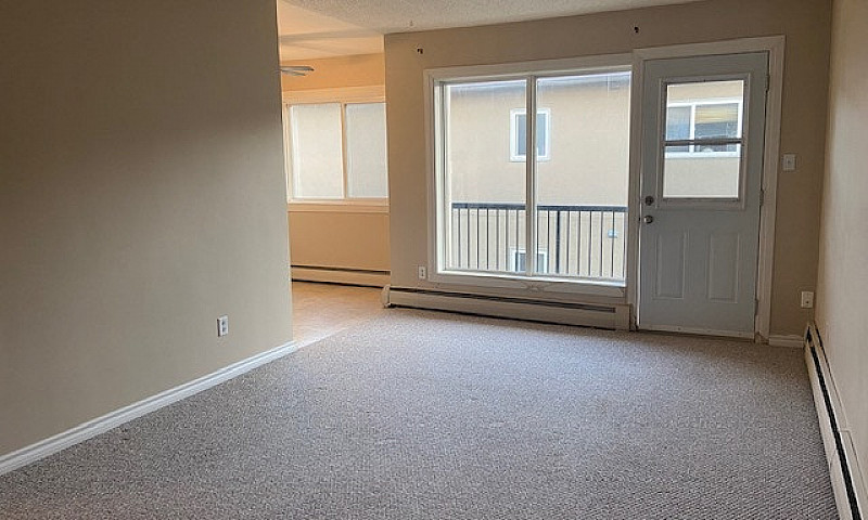 1 Bed 1 Bath Unit In...