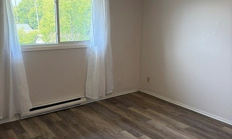 Spacious And Bright!...