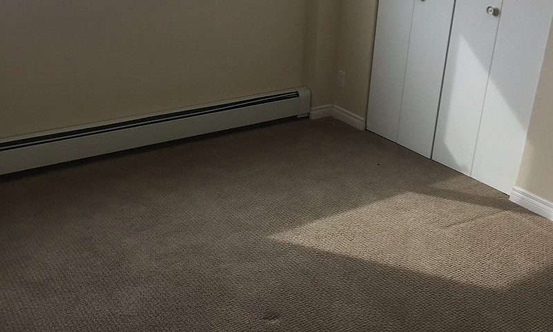 1 Bedroom Suite In W...